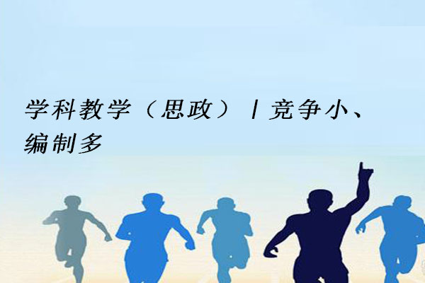 学科教学（思政）